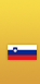 Slovenska različica